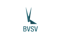 BVSV, Bundesverband der Sachverständigen für das Versicherungswesen